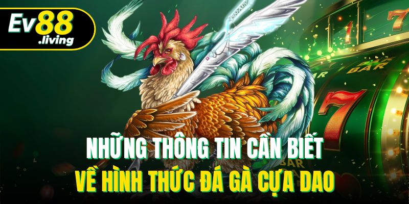 Những thông tin cần biết về hình thức đá gà cựa dao